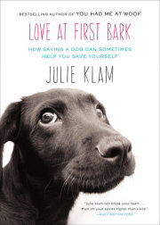 Love at First Bark 