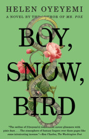 Boy, Snow, Bird 