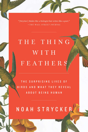 The Thing With Feathers By Noah Strycker 9781594633416 Penguinrandomhousecom Books - 