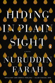 Hiding in Plain Sight 