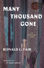 Many Thousand Gone: An American Fable 