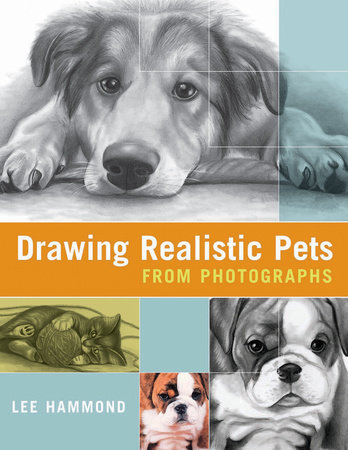 Lee Hammond's All New Big Book of Drawing: Beginner's Guide to Realistic Drawing Techniques [Book]