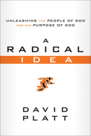 A Radical Idea 
