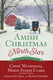 Amish Christmas at North Star 