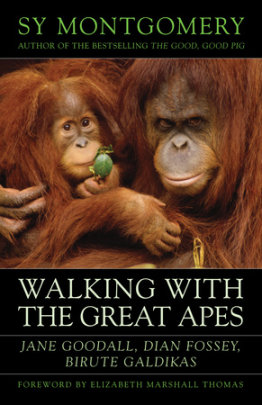 Walking with the Great Apes - Author Sy Montgomery, Foreword by Elizabeth Marshall Thomas