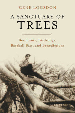 A Sanctuary of Trees