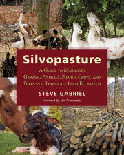 Silvopasture 