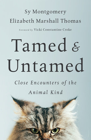 Tamed and Untamed