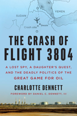The Crash of Flight 3804 - Author Charlotte Dennett, Foreword by Daniel C. Dennett III