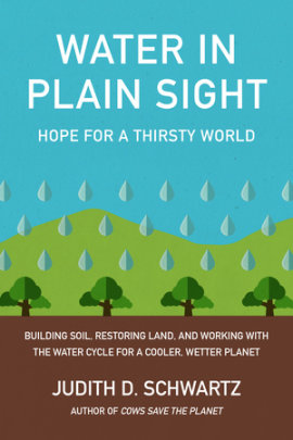 Water in Plain Sight - Author Judith D. Schwartz