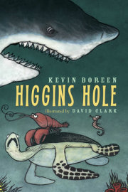 Higgins Hole 