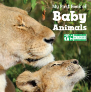 My First Book of Baby Animals (National Wildlife Federation) 