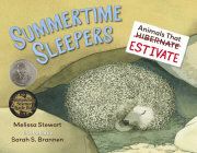 Summertime Sleepers 