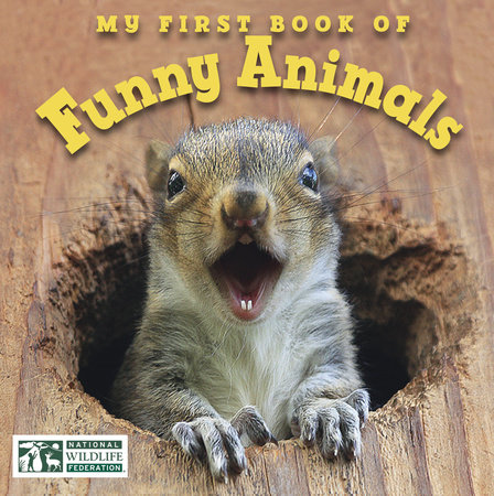 My First Book of Funny Animals (National Wildlife Federation) by National  Wildlife Federation: 9781607349167 : Books