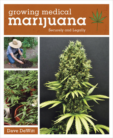 The Cannabible by Jason King: 9781607742029