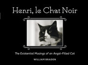 Henri, le Chat Noir