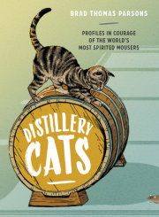 Distillery Cats 