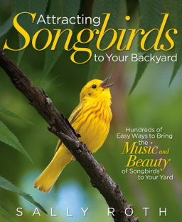 Attracting Songbirds to Your Backyard