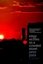 Elegy Written on a Crowded Street 