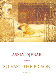 So Vast the Prison 
