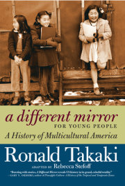 A Different Mirror for Young People 