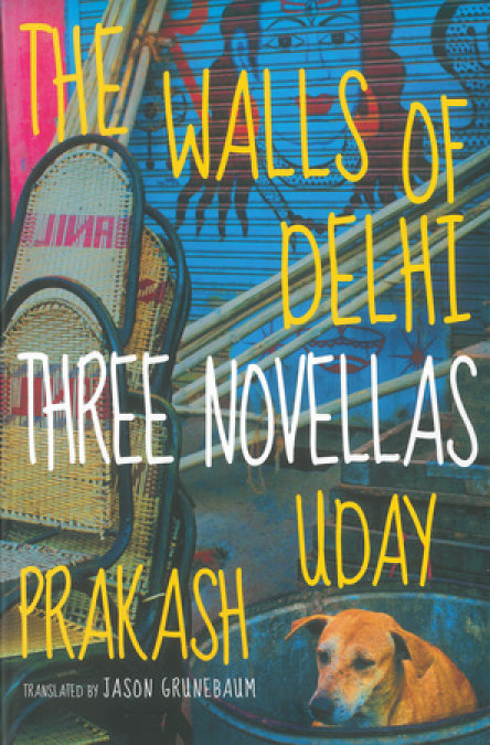 The Walls of Delhi