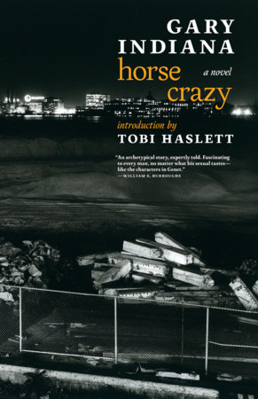 Horse Crazy By Gary Indiana 9781609808617 Penguinrandomhouse Com Books