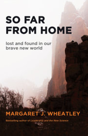 So Far from Home 