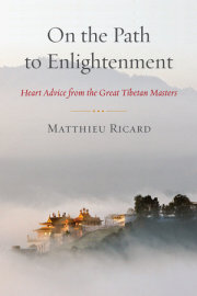 On the Path to Enlightenment 