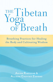 The Tibetan Yoga of Breath 