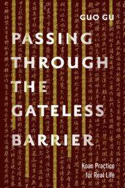 Passing Through the Gateless Barrier 