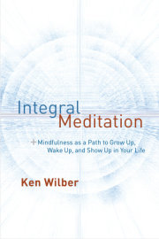 Integral Meditation 