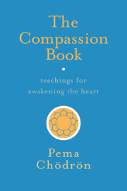 The Compassion Book 