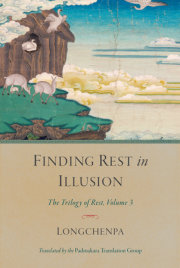 Finding Rest in Illusion 