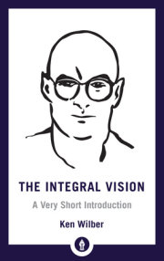 The Integral Vision 