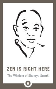 Zen Is Right Here 