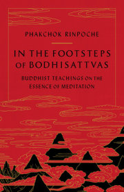 In the Footsteps of Bodhisattvas 