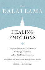 Healing Emotions