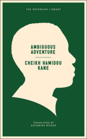 Ambiguous Adventure 
