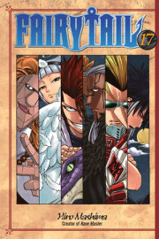 FAIRY TAIL 17 