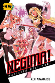 Negima! 35 