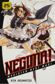 Negima! 25