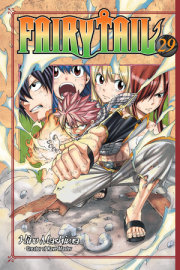 FAIRY TAIL 29 