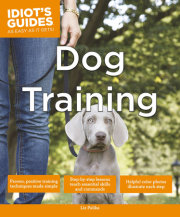 Dog Training 