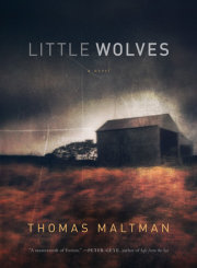 Little Wolves 