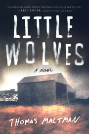 Little Wolves 