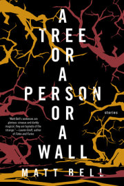 A Tree or a Person or a Wall: Stories 