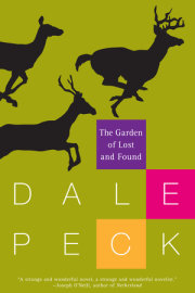 The Garden of Lost and Found 