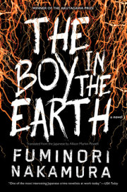 The Boy in the Earth 