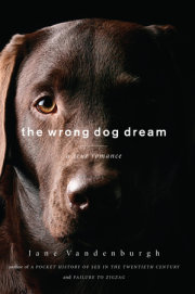 The Wrong Dog Dream 